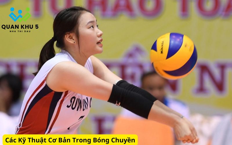 Các Kỹ Thuật Cơ Bản Trong Bóng Chuyền