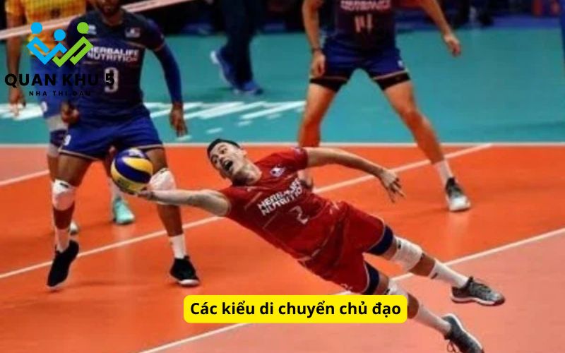 Các kiểu di chuyển chủ đạo