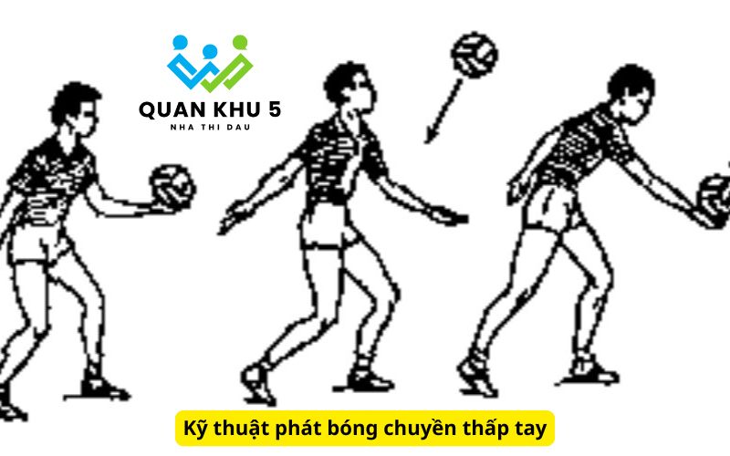 Kỹ thuật phát bóng chuyền thấp tay