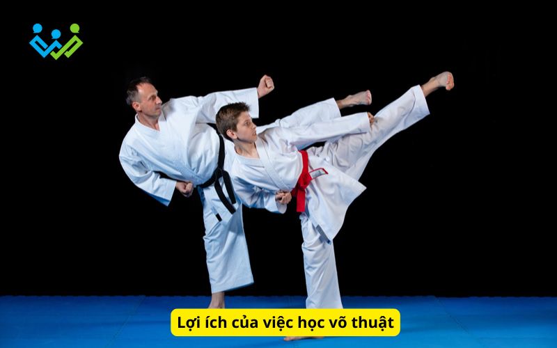 Lợi ích của việc học võ thuật