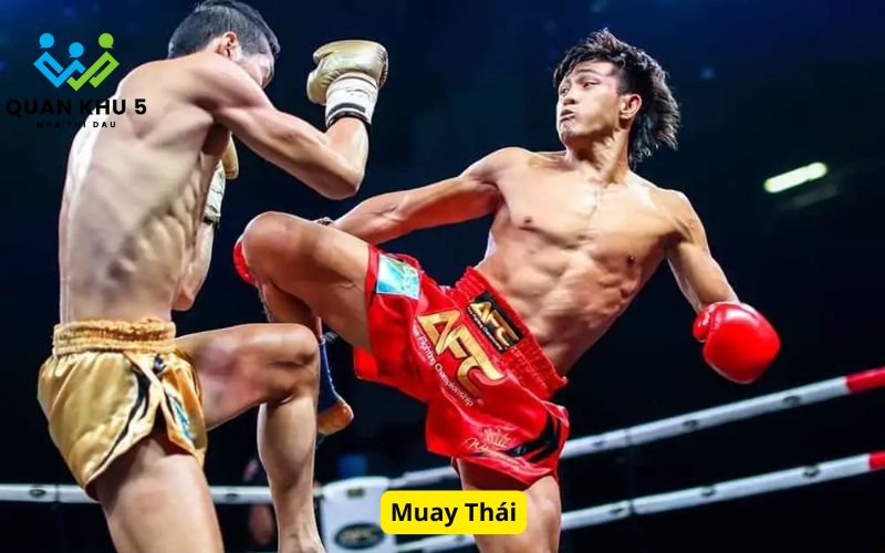 Muay Thái
