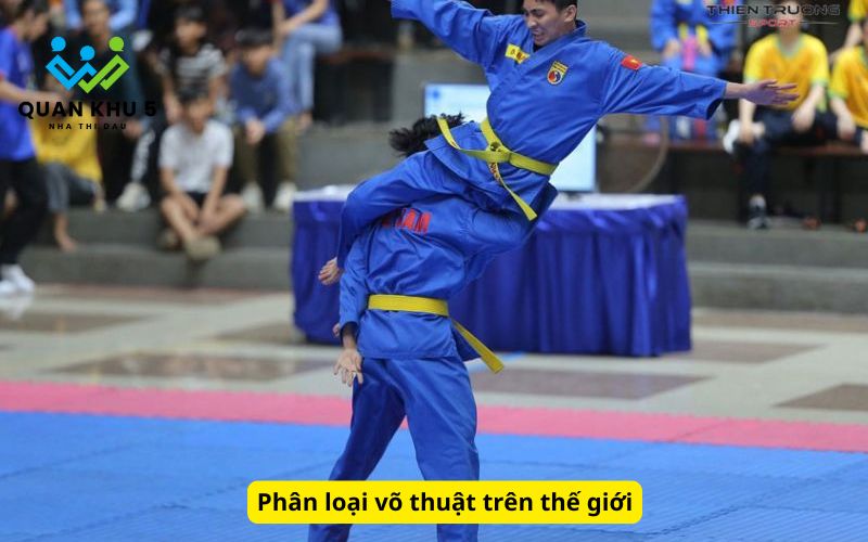 Phân loại võ thuật trên thế giới