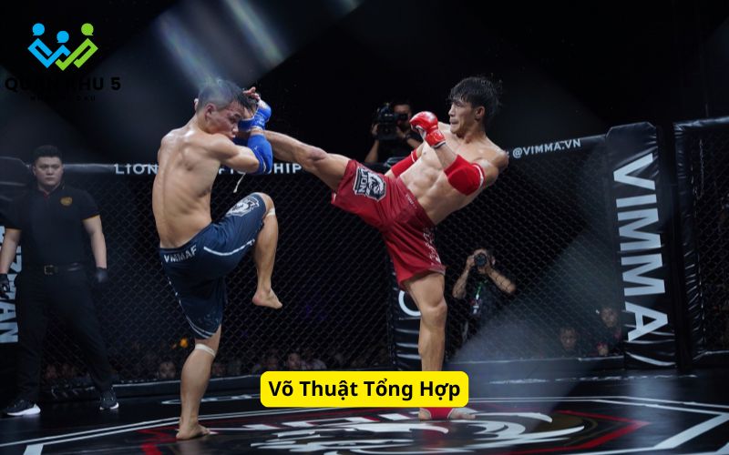 Võ Thuật Tổng Hợp