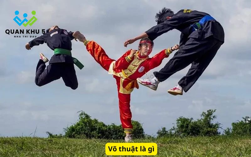 Võ thuật là gì