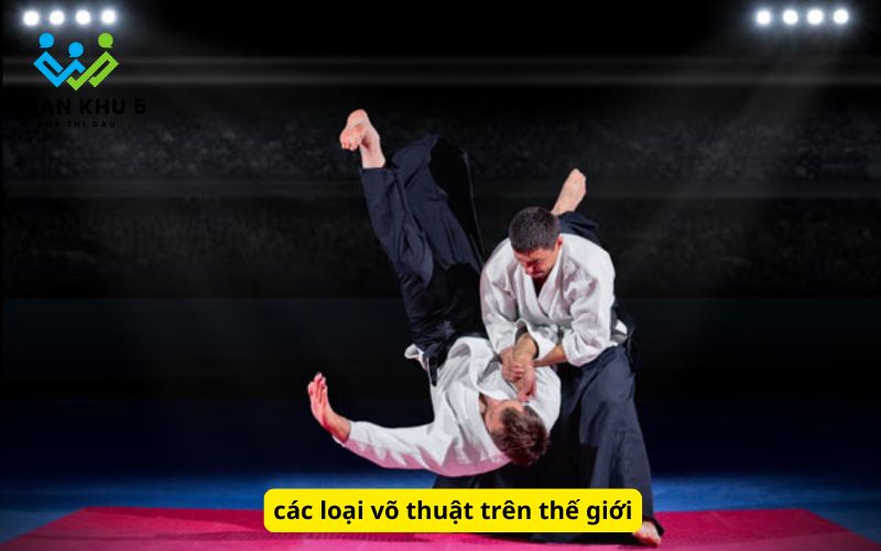 các loại võ thuật trên thế giới
