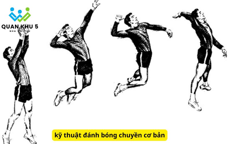 kỹ thuật đánh bóng chuyền cơ bản