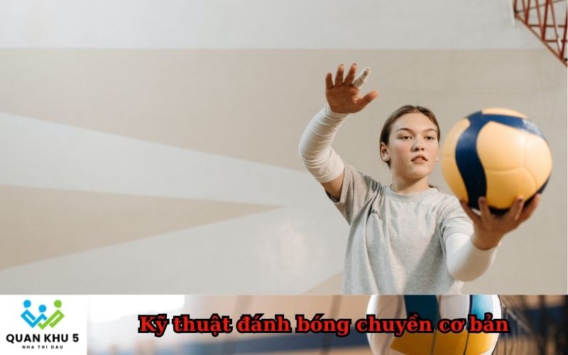 Kỹ thuật đánh bóng chuyền cơ bản cho người mới tập