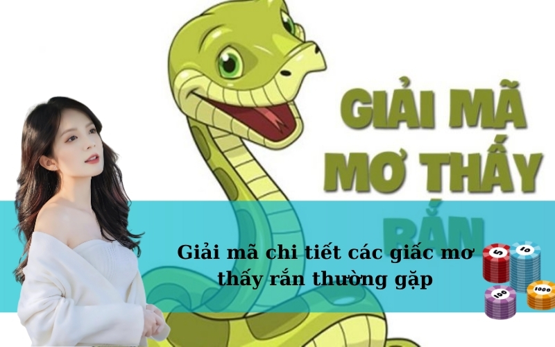 Giải mã chi tiết các giấc mơ thấy rắn thường gặp