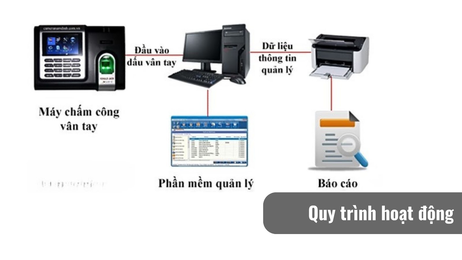 toi-uu-chi-phi-tang-hieu-qua-lam-viec