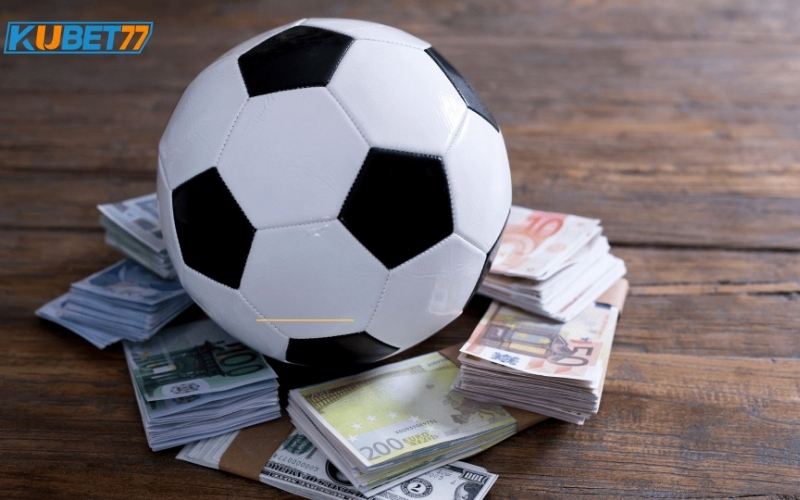 Phân tích vai trò lãnh đạo và chiến lược phát triển nền tảng trực tuyến