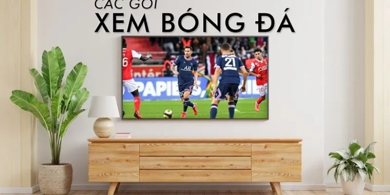 Tìm hiểu thách thức của FPT Play VTVcab K+