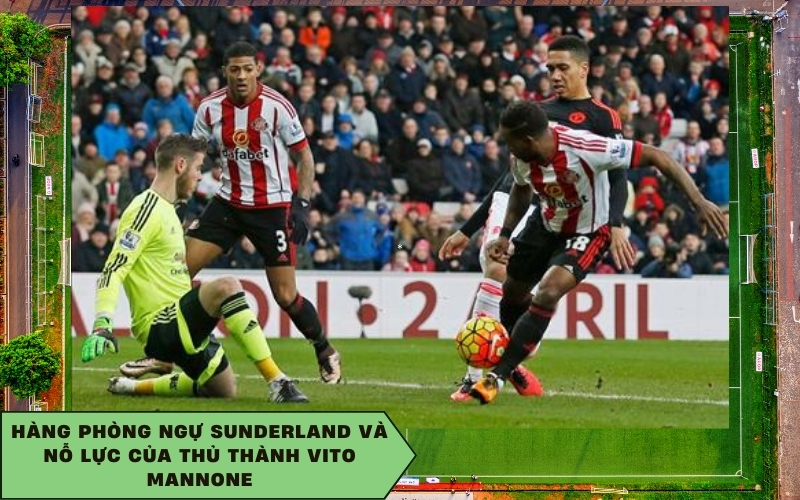 Hàng phòng ngự Sunderland và nỗ lực của thủ thành Vito Mannone