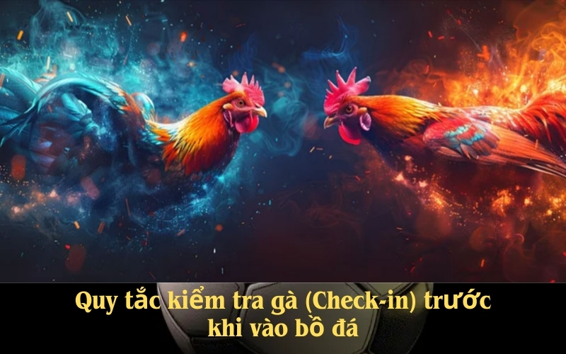 Quy tắc kiểm tra gà (Check-in) trước khi vào bồ đá