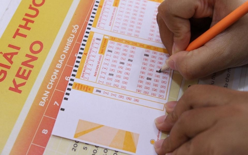 Quy trình tham gia trải nghiệm chi tiết