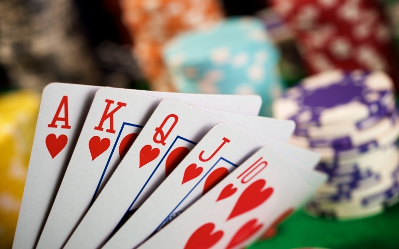 Hỗ trợ khách hàng chuyên nghiệp tận tâm