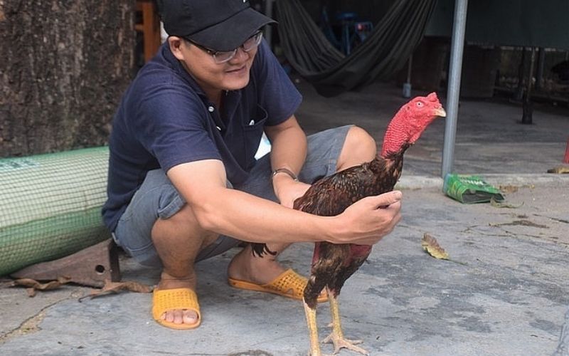 Nghệ thuật chăm sóc và chế độ dinh dưỡng đặc biệt