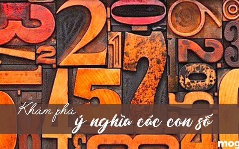 Ứng Dụng Con Số Trong Cuộc Sống Hàng Ngày